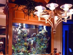 contemporary-aquariums-interior-design-ideas.jpg