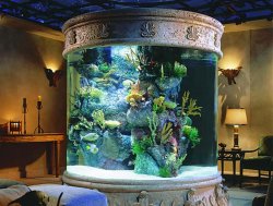 cool-aquariums-big-size-design.jpg