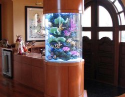 creative-aquarium-room-divider-design.jpg