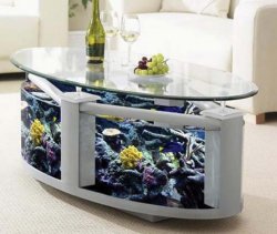 simple-aquarium-coffee-table.jpg