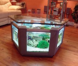 unique-aquarium-living-room-table1.jpg