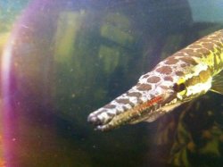 photo(17).jpg