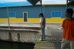 max koi farm.png