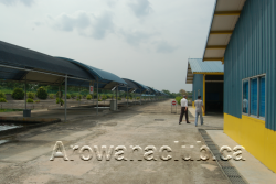 max koi outdoor.png