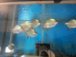 IMG_0142.jpg