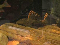 IMG_0074.jpg