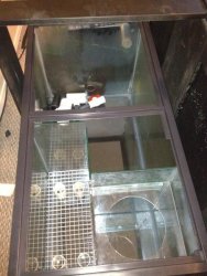 sump overhead.jpg