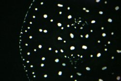 p142.jpg
