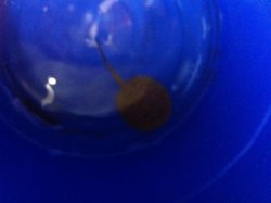 IMG_0612.jpg