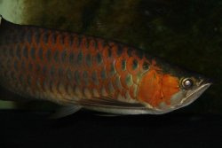 IMG_8566.jpg