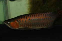 IMG_8582.jpg