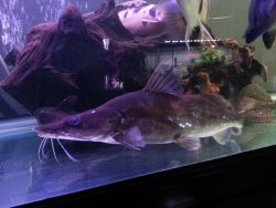 20120910_203910.jpg