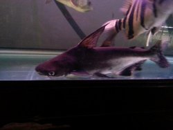 20120910_203947.jpg