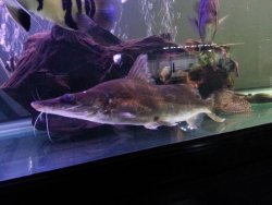 20120910_204252.jpg