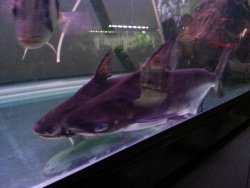 20120910_204307.jpg