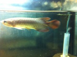 IMG_0783.jpg