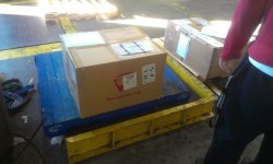 shipping fish.jpg