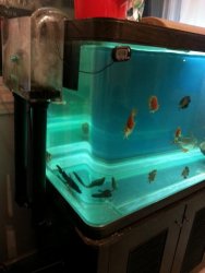 20121027_225701.jpg