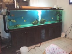 20121026_004326.jpg