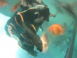 IMG_4015.jpg