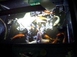 20121026_004424.jpg