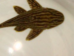 IMG-20121228-00224.JPG