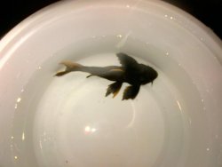 IMG-20121228-00231.jpg