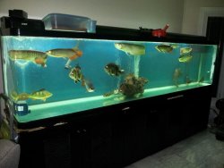 20121026_004403.jpg