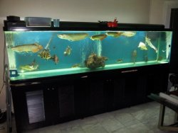 20121026_004412.jpg