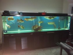 20121026_004442.jpg