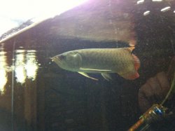 IMG_0961.jpg