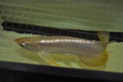 DSC_0201.jpg