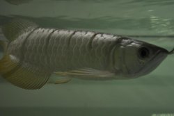 DSC_0102.jpg