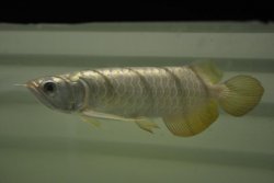 DSC_0116.jpg