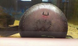 2013-03-13 15.08.29.jpg
