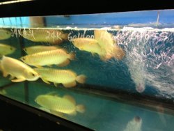 IMG_1219.jpg
