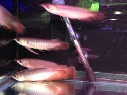 IMG_1221.jpg
