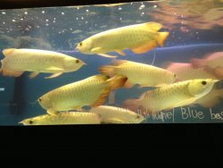 IMG_1223.jpg