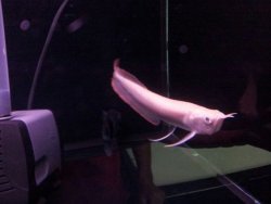 IMG_1944.jpg