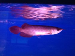 IMG_2741.JPG