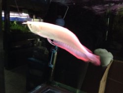 IMG_2747.JPG