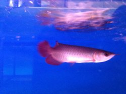 IMG_2751.JPG