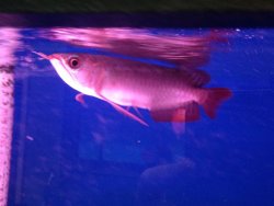 IMG_2752.JPG