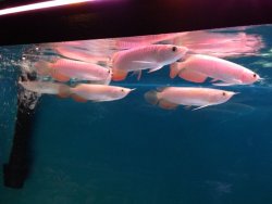 IMG_2756.JPG