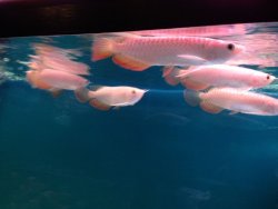 IMG_2757.JPG