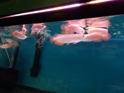 IMG_2760.JPG