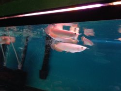 IMG_2761.JPG