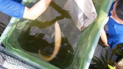 IMG_2767.JPG