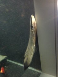 image[2].jpeg