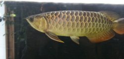 20131226_115333.jpg